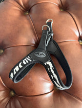 Carica l'immagine nel visualizzatore di Gallery, Pettorina Pratiko per cane tg 1 fino a 3 kg