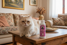 Carica l'immagine nel visualizzatore di Gallery, FREYA – Shampoo Gel No Risciacquo | Pulizia Veloce e Delicata per Cani e Gatti