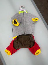 Carica l'immagine nel visualizzatore di Gallery, Costume di Halloween per Cani – Pipistrello Grigio e Rosso