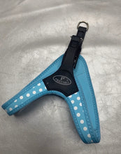 Carica l'immagine nel visualizzatore di Gallery, Pettorina Pratiko per cane tg 1 fino a 3 kg