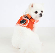 Carica l'immagine nel visualizzatore di Gallery, Pettorina Puppia Arancione Vivien