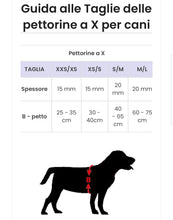 Carica l'immagine nel visualizzatore di Gallery, Set Pettorina e Guinzaglio Baby Yoda: Il Tuo Cane in Stile Galattico con ‘The Child