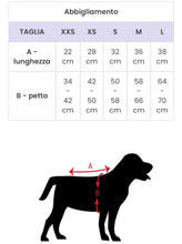 Carica l'immagine nel visualizzatore di Gallery, Felpa AC/DC: Rock ‘n’ Roll in Stile ‘Back in Black’ per il Tuo Cane