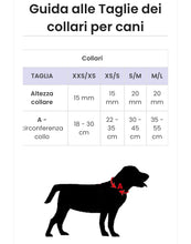 Carica l'immagine nel visualizzatore di Gallery, Set Collare e Guinzaglio Batman: Potenza e Stile del Cavaliere Oscuro per il Tuo Cane