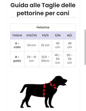Carica l'immagine nel visualizzatore di Gallery, Pettorina Chewbacca: Porta la Forza del Wookiee nelle Passeggiate del Tuo Cane