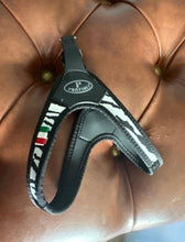 Carica l'immagine nel visualizzatore di Gallery, Pettorina Pratiko per cane tg 1 fino a 3 kg