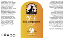 Carica l'immagine nel visualizzatore di Gallery, CLOCLÒ – Arnica Spray Concentrata | Sollievo Naturale Muscoli e Articolazioni