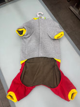 Carica l'immagine nel visualizzatore di Gallery, Costume di Halloween per Cani – Pipistrello Grigio e Rosso