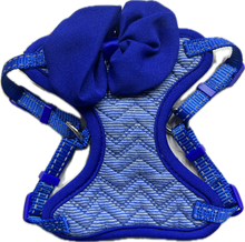 Carica l'immagine nel visualizzatore di Gallery, Pettorina Elegante Blu con Fiocco per Animali Domestici