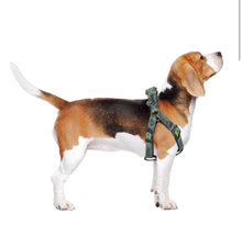 Carica l'immagine nel visualizzatore di Gallery, Set Pettorina e Guinzaglio Baby Yoda: Il Tuo Cane in Stile Galattico con ‘The Child