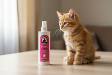 Carica l'immagine nel visualizzatore di Gallery, KISOU – Pelo e Zampe Puliti | Spray Igienizzante Naturale per Cani
