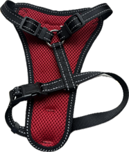 Carica l'immagine nel visualizzatore di Gallery, “Comoda Pettorina in Rete Traspirante con Design Ergonomico”