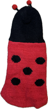 Carica l'immagine nel visualizzatore di Gallery, Maglioncino Ladybug per cani - Taglia 25 cm
