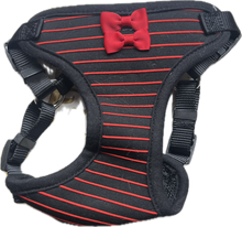 Carica l'immagine nel visualizzatore di Gallery, Pettorina Elegante con Fiocco Rosso e Righe Sottili