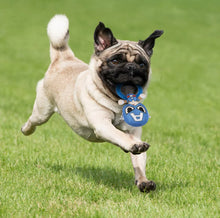 Carica l'immagine nel visualizzatore di Gallery, Gioco Dentale Avengers: Capitan America, l’Eroe per il Tuo Cane