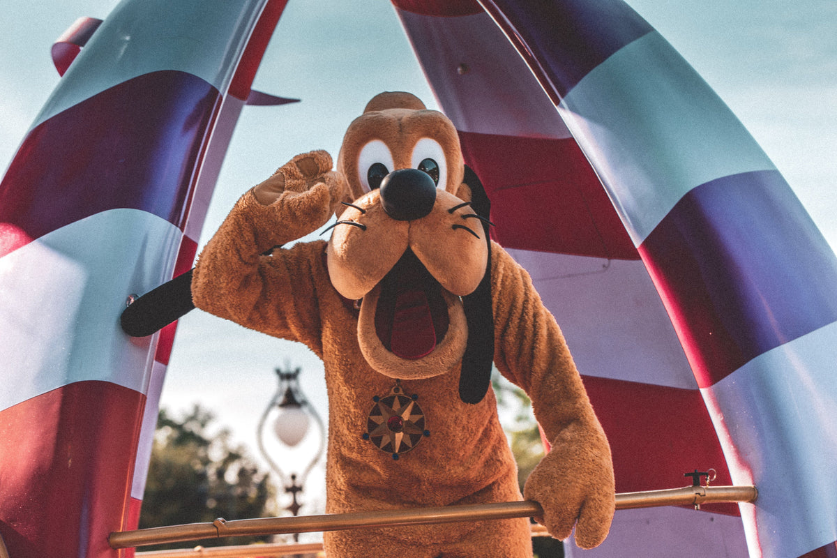 DISNEY PET COLLECTION