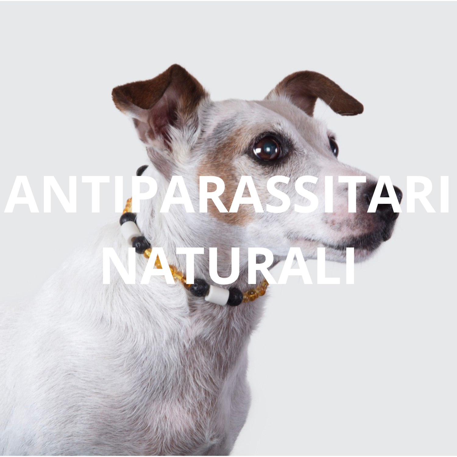ANTIPARASSITARI NATURALI