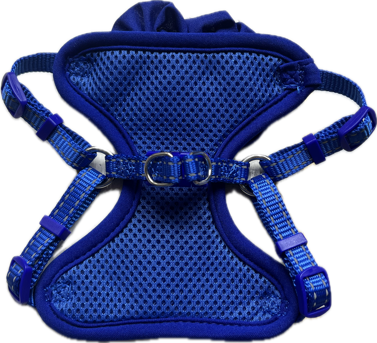 Pettorina Elegante Blu con Fiocco per Animali Domestici
