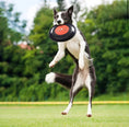 Carica l'immagine nel visualizzatore della galleria, Frisbee AC/DC: Rock ‘n’ Roll in Volo per il Tuo Cane
