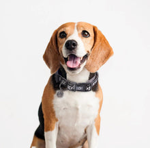 Carica l&#39;immagine nel visualizzatore di Gallery, Collare AC/DC: Stile Rock ‘n’ Roll per il Tuo Cane
