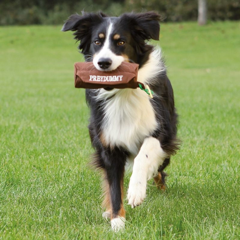 Preydummy Trixie per cani
