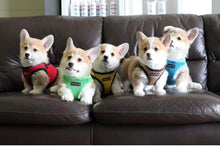 Carica l&#39;immagine nel visualizzatore di Gallery, Puppia Pettorina Rosa
