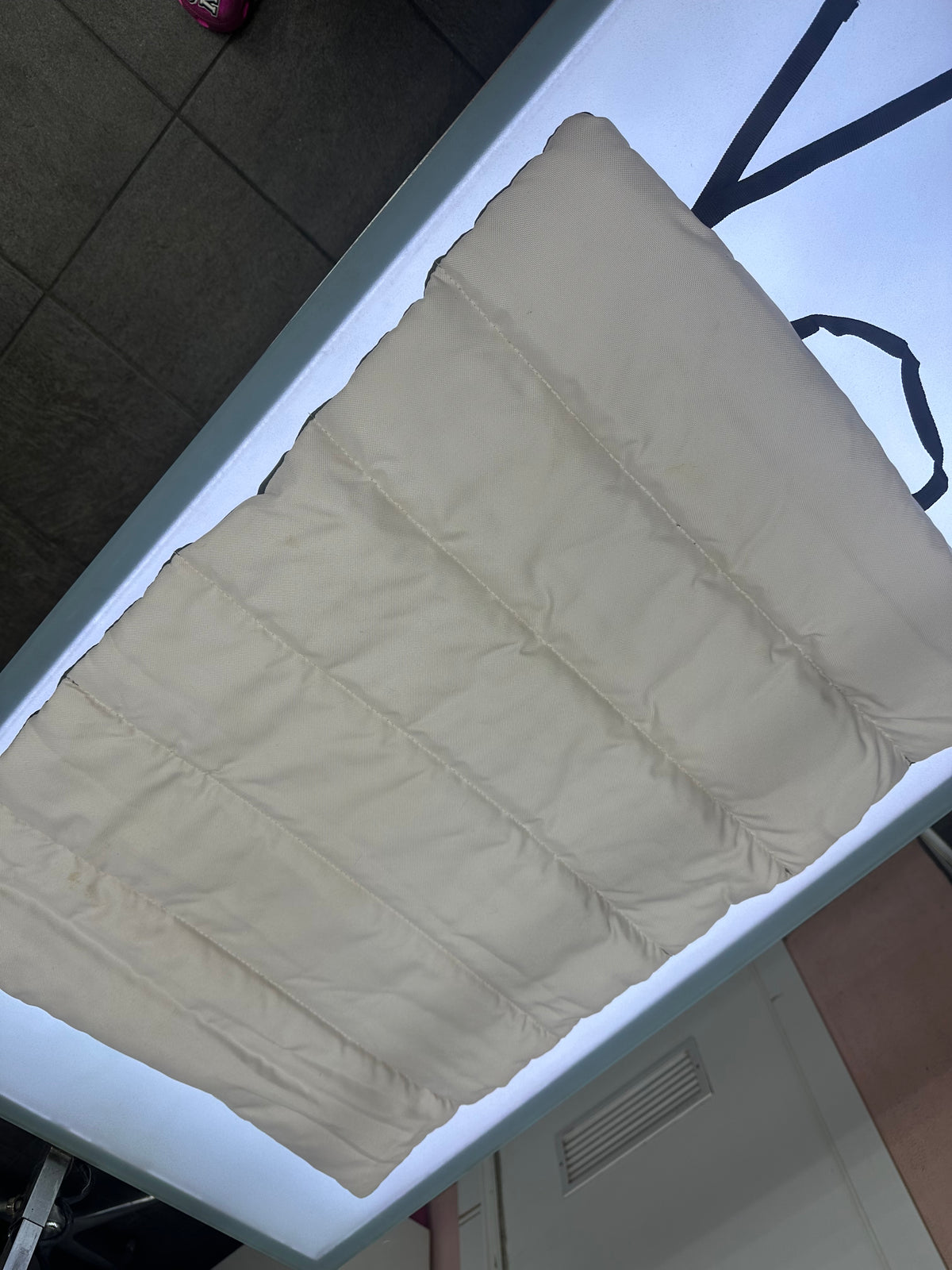 Cuccia Trasportino Tappetino Pieghevole per Animali Domestici