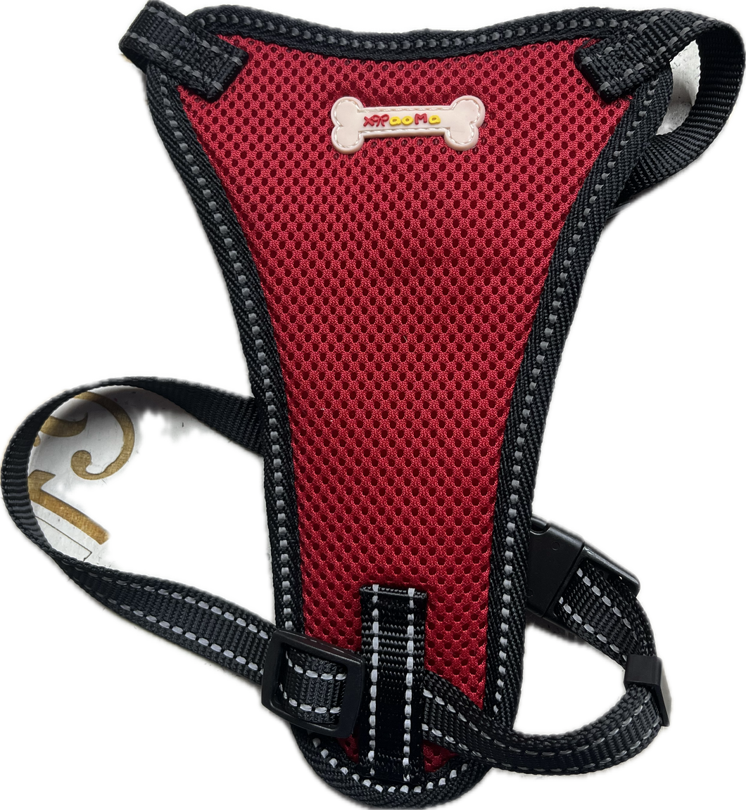 “Comoda Pettorina in Rete Traspirante con Design Ergonomico”