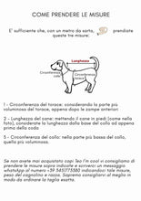 Carica l'immagine nel visualizzatore di Gallery, Teo I’m Cool – Abito Shine con Tulle e Stella Gold – XL
