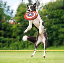 Carica l&#39;immagine nel visualizzatore di Gallery, Frisbee Scudo di Capitan America: Lanciate Eroiche per il Tuo Cane
