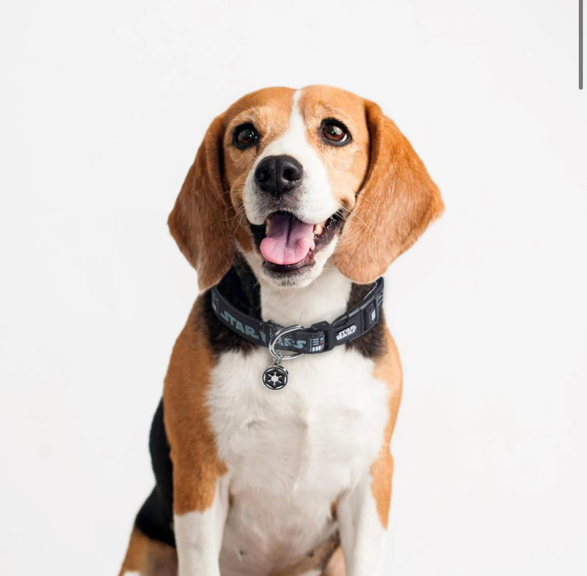 Collare Star Wars: Porta la Forza nelle Passeggiate del Tuo Cane