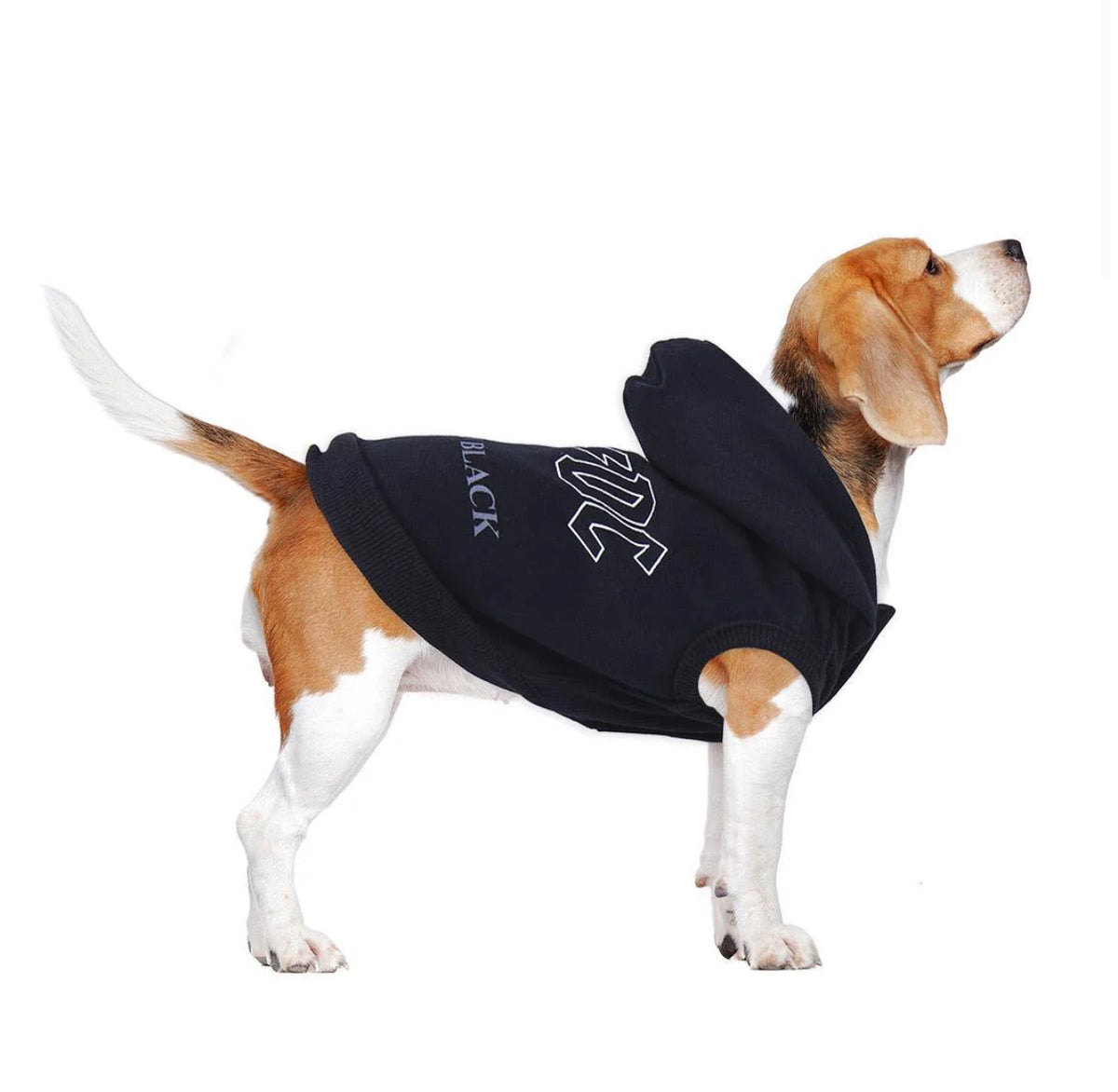 Felpa AC/DC: Rock ‘n’ Roll in Stile ‘Back in Black’ per il Tuo Cane