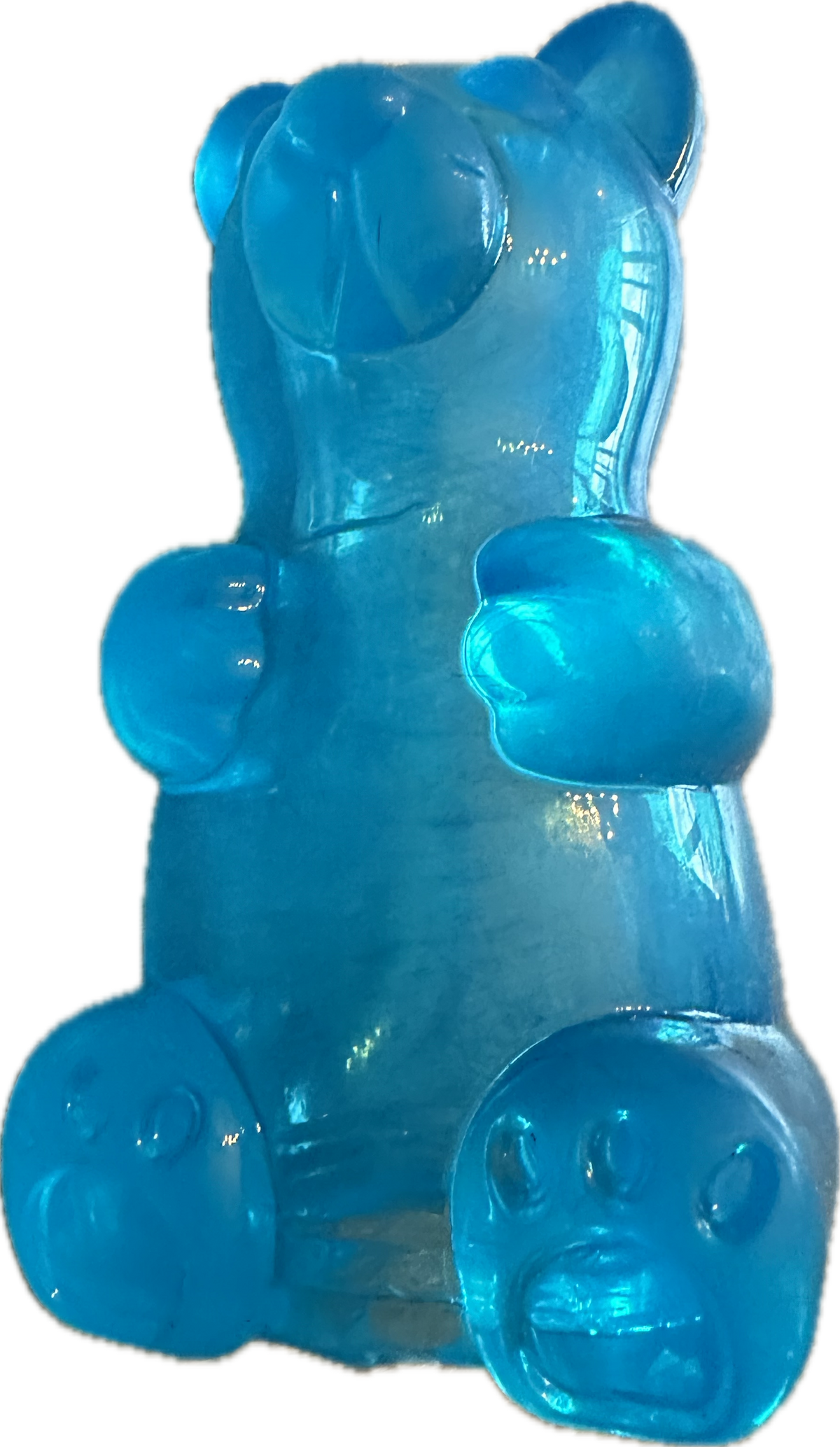 Gioco a forma di Orsetto in Gomma Trasparente con Porta-Snack