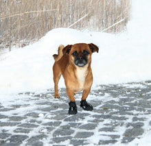 Carica l&#39;immagine nel visualizzatore di Gallery, TRIXIE STIVALETTI PROTETTIVI WALKER ACTIVE XS - S
