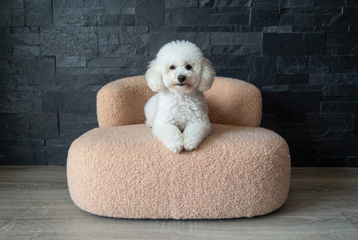 Cuccia Bouclé Soft Cream – Design Moderno in Tessuto Orsetto per Cani e Gatti