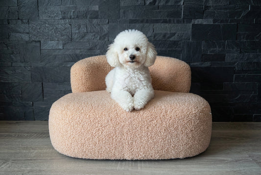 Cuccia Bouclé Soft Cream – Design Moderno in Tessuto Orsetto per Cani e Gatti