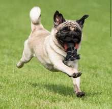 Carica l&#39;immagine nel visualizzatore di Gallery, Gioco Dentale Star Wars: La Forza del Divertimento con Darth Vader per il Tuo Cane
