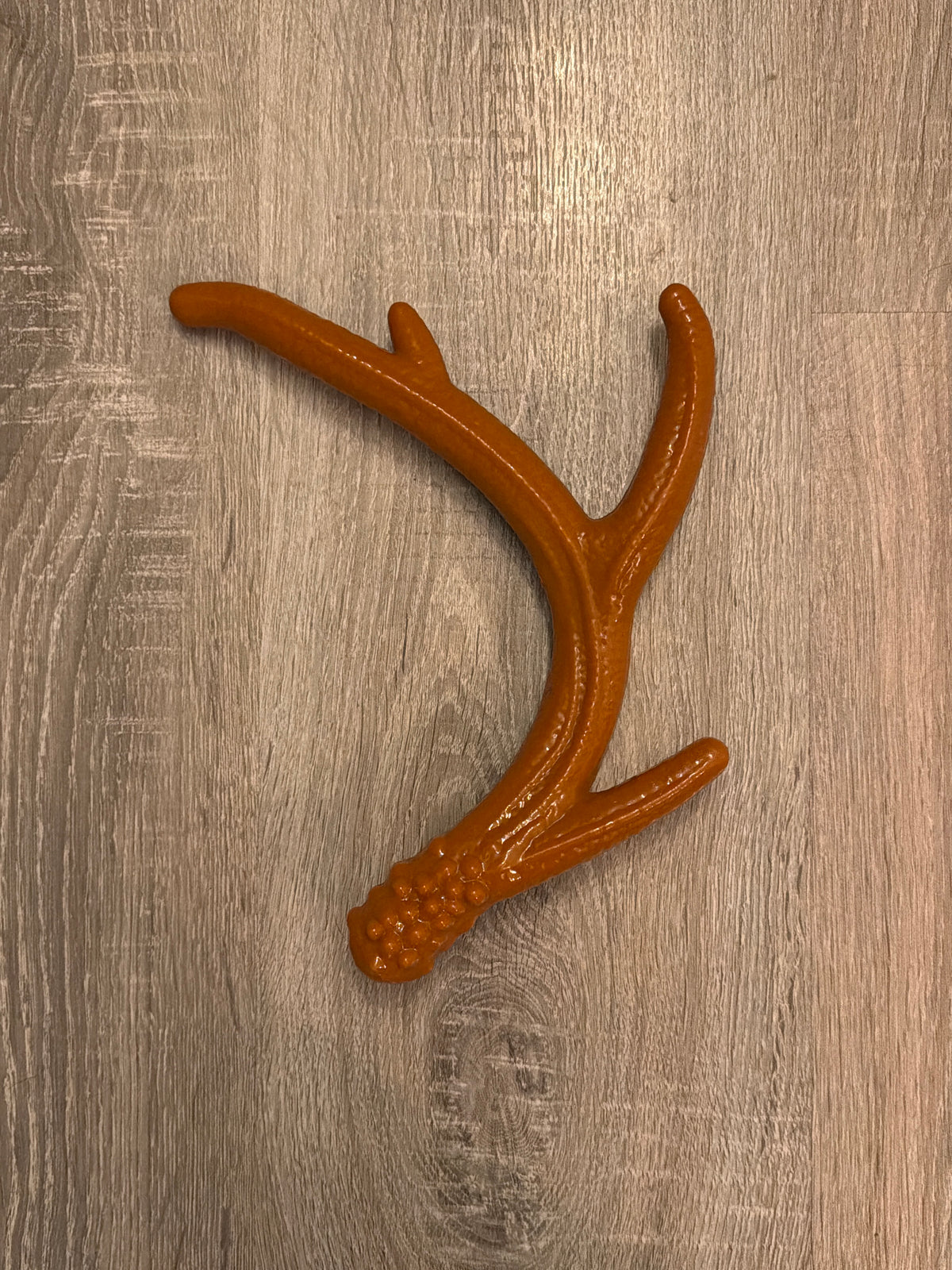 Forest Antler – Gioco a Forma di Corna di Cervo per Cani