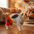 Carica l'immagine nel visualizzatore della galleria, Costume di Halloween per Cani – Pipistrello Grigio e Rosso
