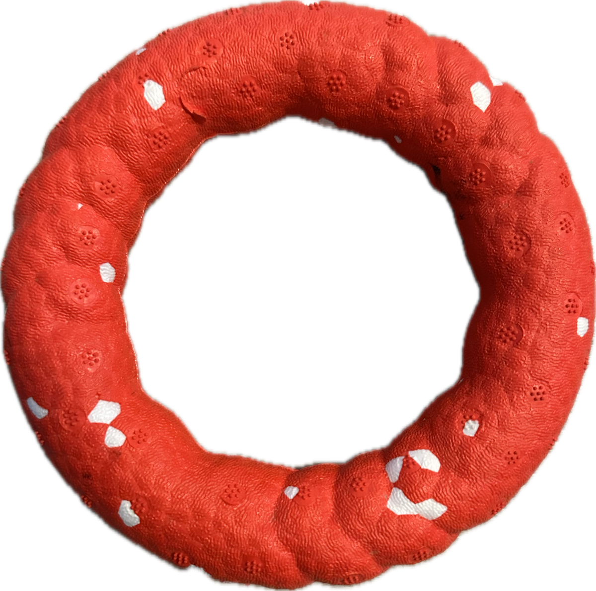 Gioco per cani a forma di anello resistente