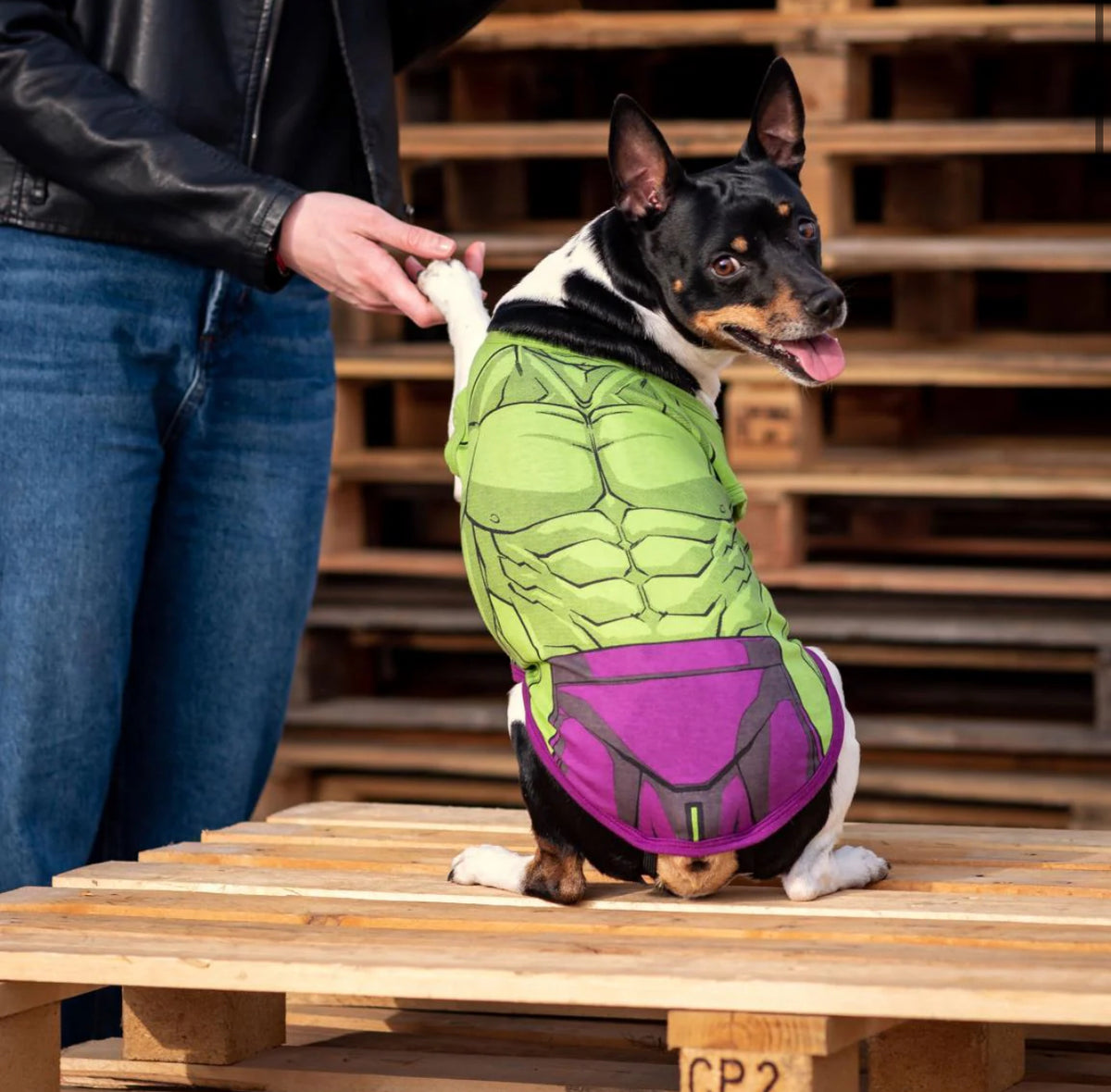 Maglietta Hulk: La Forza dell’Incredibile per il Tuo Cane
