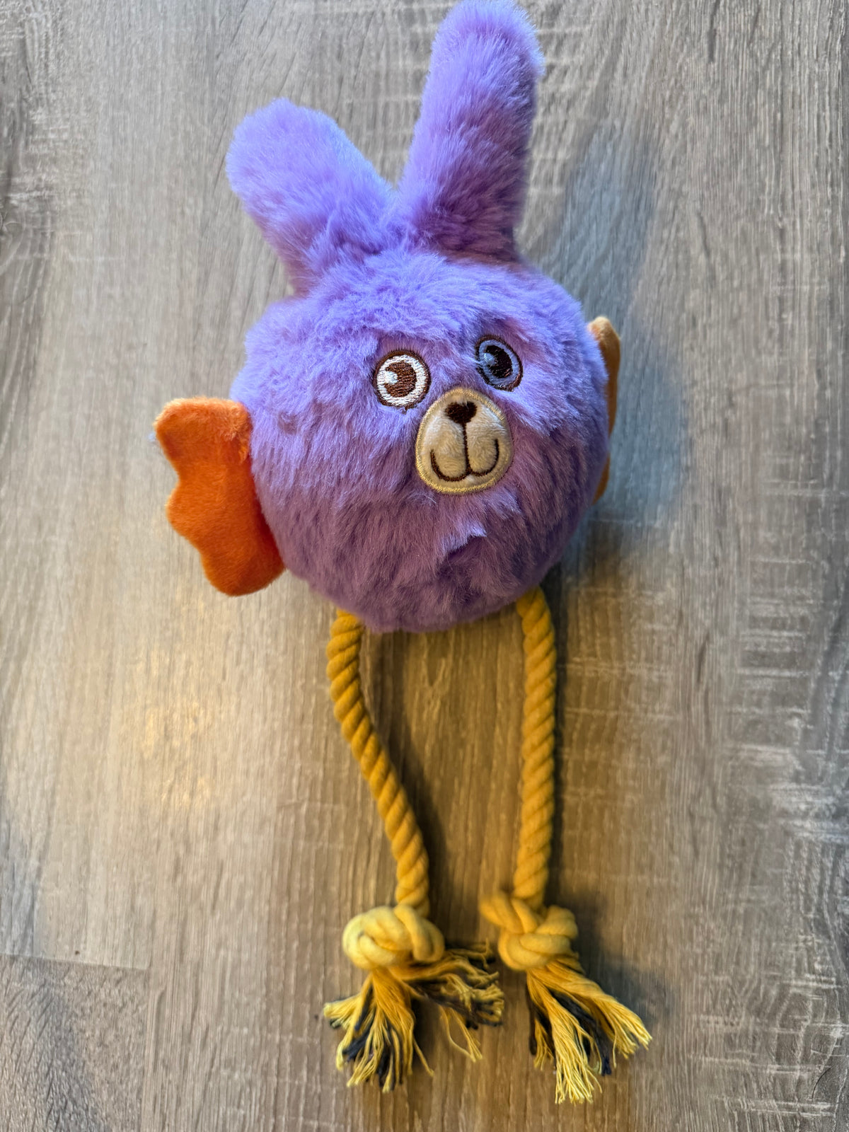 Coniglietto Viola in Peluche con Palla Rigida e Corde per Cani