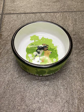 Carica l'immagine nel visualizzatore di Gallery, Ciotola in ceramica per cani e gatti
