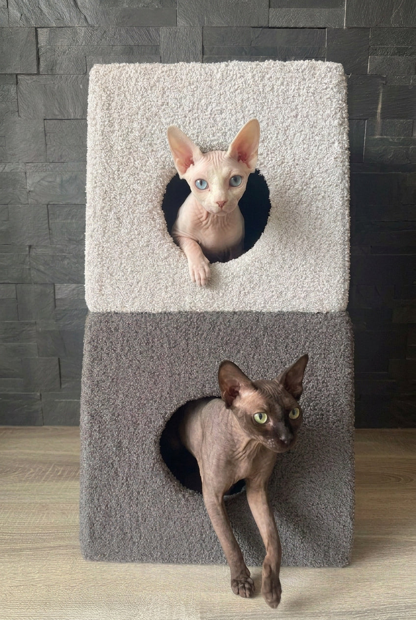 Torre Relax Bouclé Bicolor per Gatti – Cuccia con Tiragraffi e Vani
