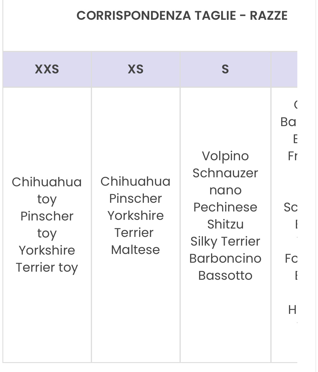 Felpa Minnie Mouse con Fiocco: Un Tocco di Magia e Stile per il Tuo Cane