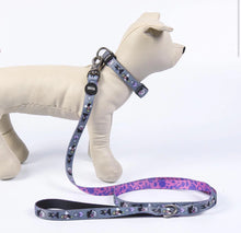 Carica l&#39;immagine nel visualizzatore di Gallery, Collare Disney Villains: Un Tocco di Stile Malvagio per il Tuo Cane
