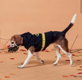 Carica l'immagine nel visualizzatore della galleria, Felpa Batman con Orecchie: Trasforma il Tuo Cane nel Cavaliere Oscuro
