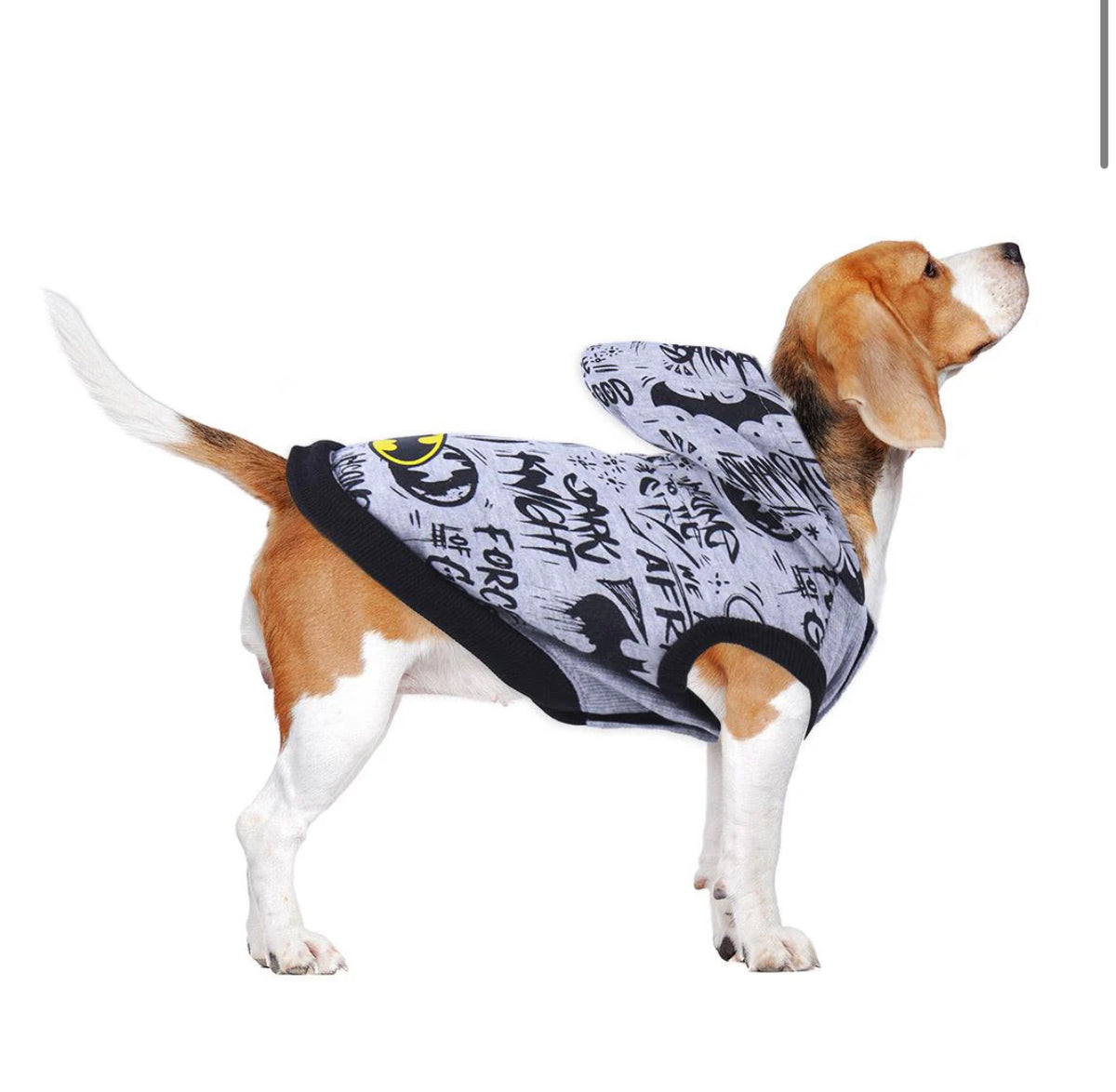 Felpa Batman Graffiti: Lo Stile Urbano del Cavaliere Oscuro per il Tuo Cane