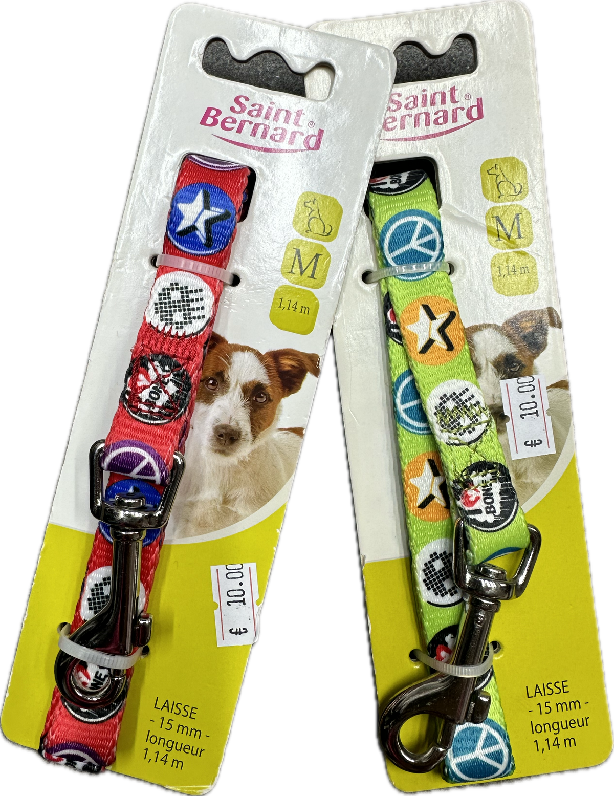 Collare e Guinzaglio Regolabili Saint Bernard - Fantasia Iconica