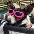 Carica l'immagine nel visualizzatore della galleria, Occhiali da Sole per Cani "Maui" – Protezione e Stile in Movimento
